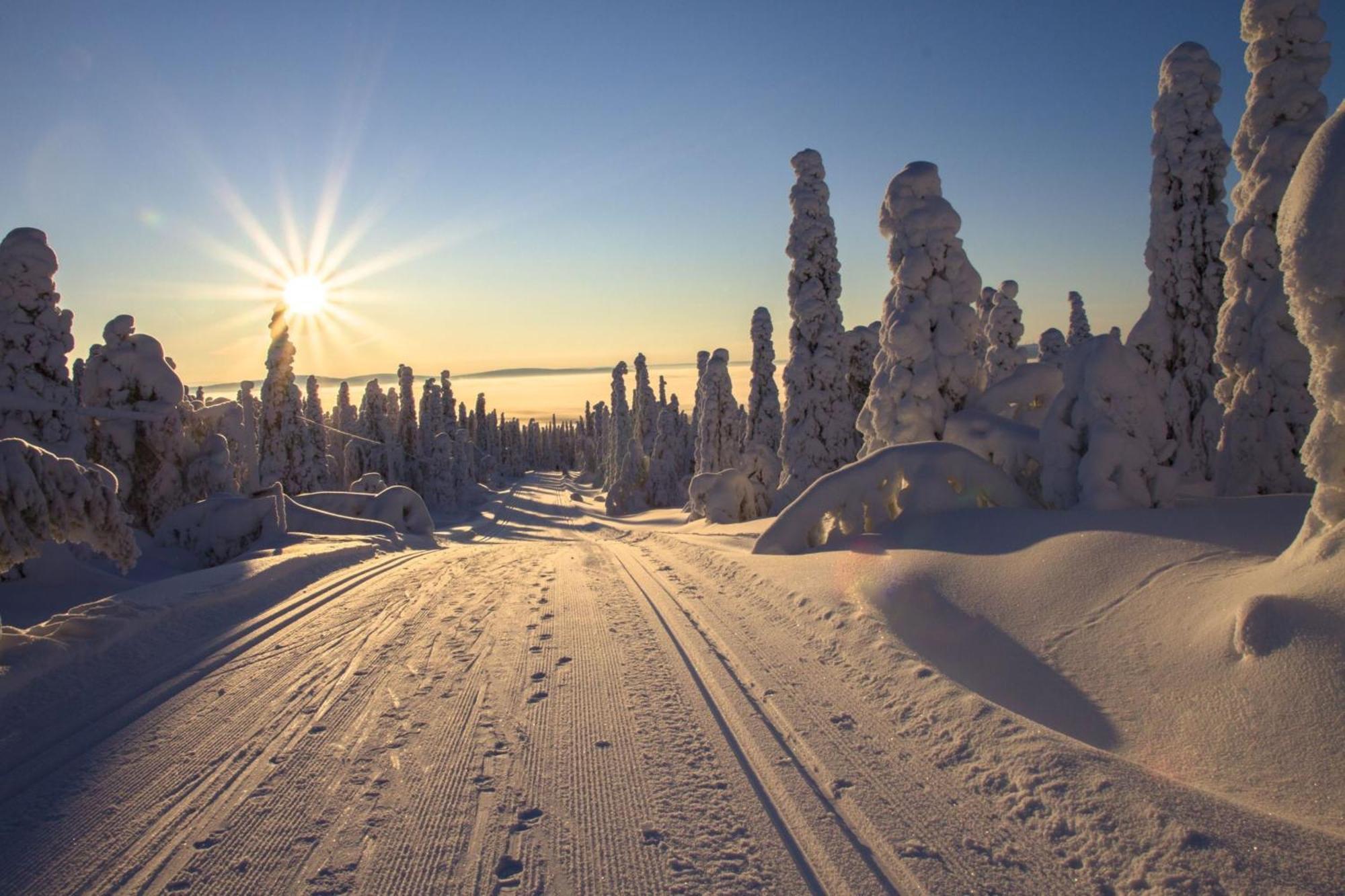Holiday Inn Express Hotel & Suites North Bay By Ihg Exteriör bild